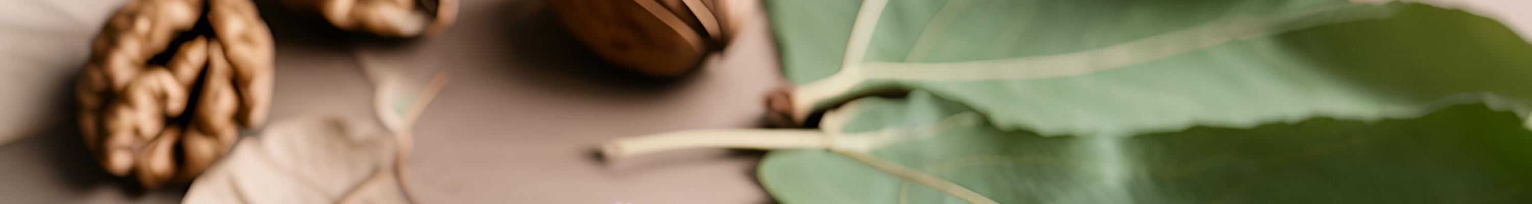 Feuilles vert et noix sur une table
